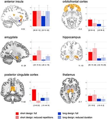 The Design Matters: How to Detect Neural Correlates of Baby Body Odors